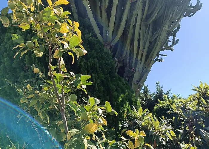 Casa La Siesta Albir Panzió 4*